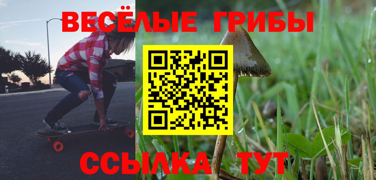 Галлюциногенные грибы мухоморы Ростов Великий